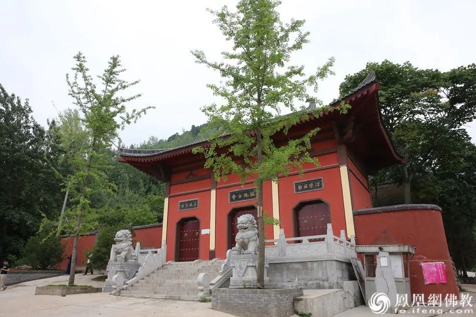 终南山端午供僧纪行:慧海公益带您走进神圣修行地