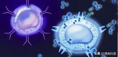 科技之春健康科普,科技之春科普文章