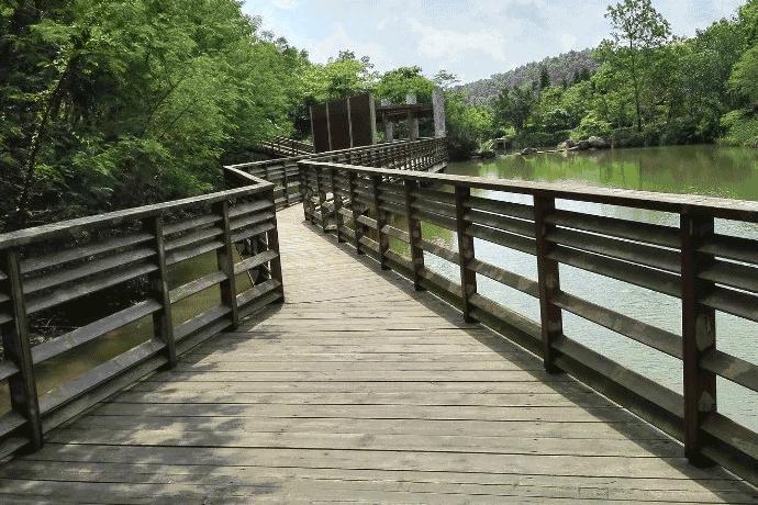 深圳免费公园哪里最好啊,深圳十大免费公园景点大全