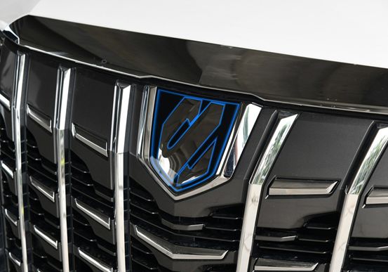 富豪的入场券丰田埃尔法,富人的入场券汽车中的头等舱