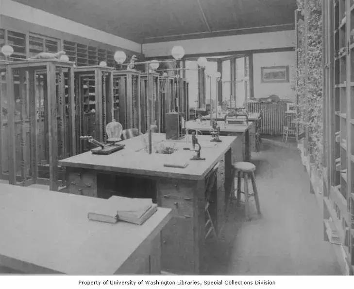 建筑大师们的第一件作品长什么样？