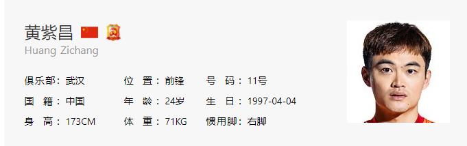 中国足坛陨落天才视频,中国足坛十大天才