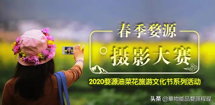 江西婺源油菜花音乐节,婺源油菜花文化节