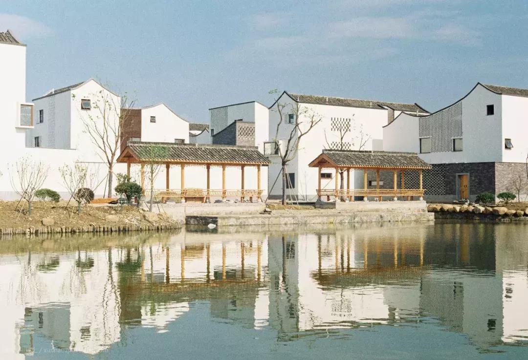 最美银杏秋景自驾攻略,杭州银杏树旅游攻略