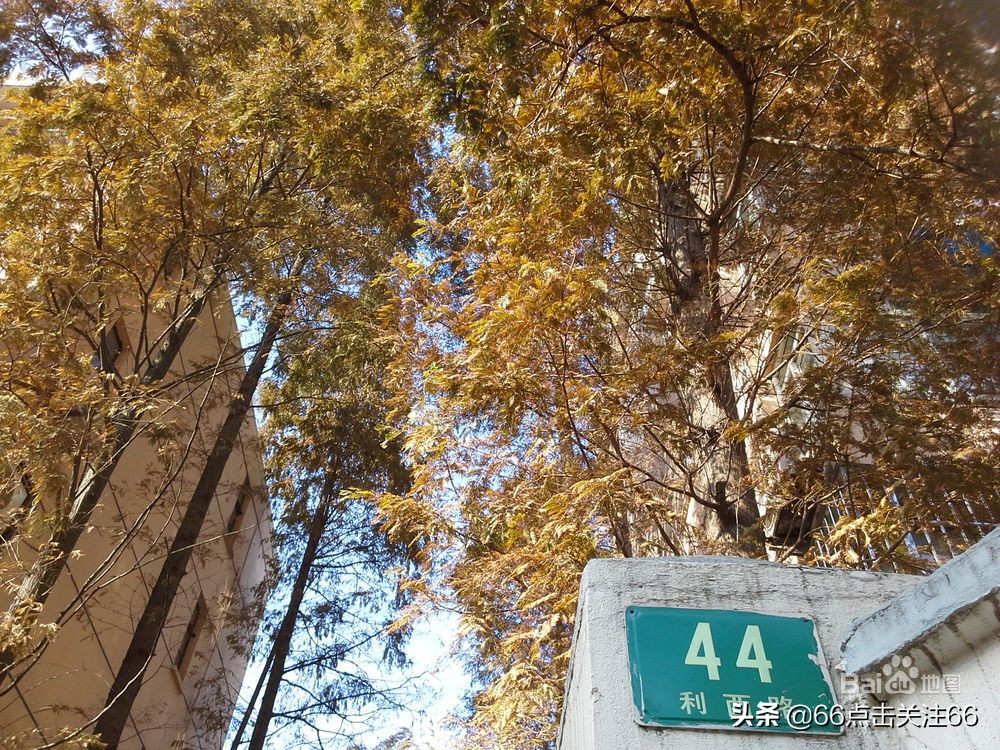 利西路250弄,上海利西路230号