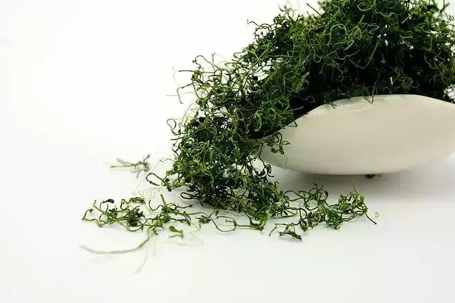 抗衰老中药材大全及药效作用,美白祛斑抗衰老的中药材