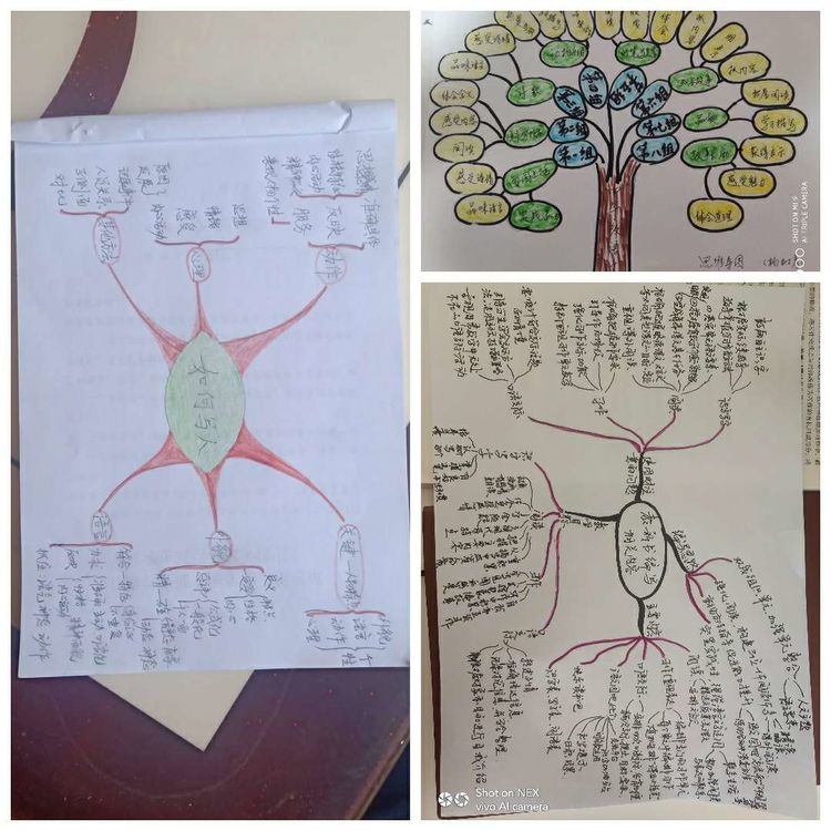 靖师附小线上备课惊艳网络，很多老师感慨：是该好好向附小看齐了