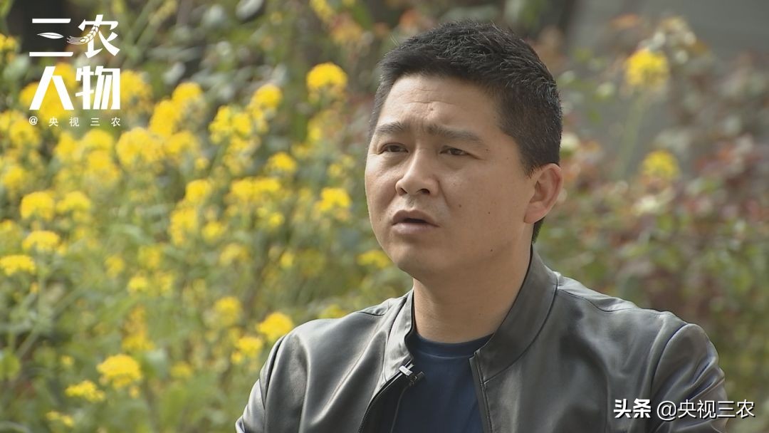 90后的湖北村支书,湖北最硬核村支书