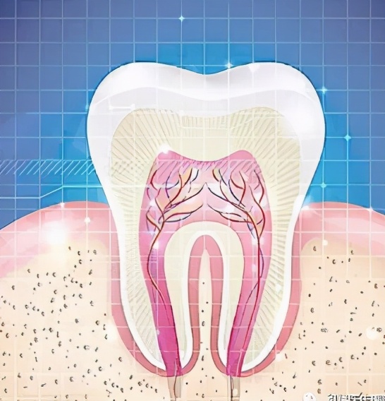 肝移植受者日常琐事的建议（之一）