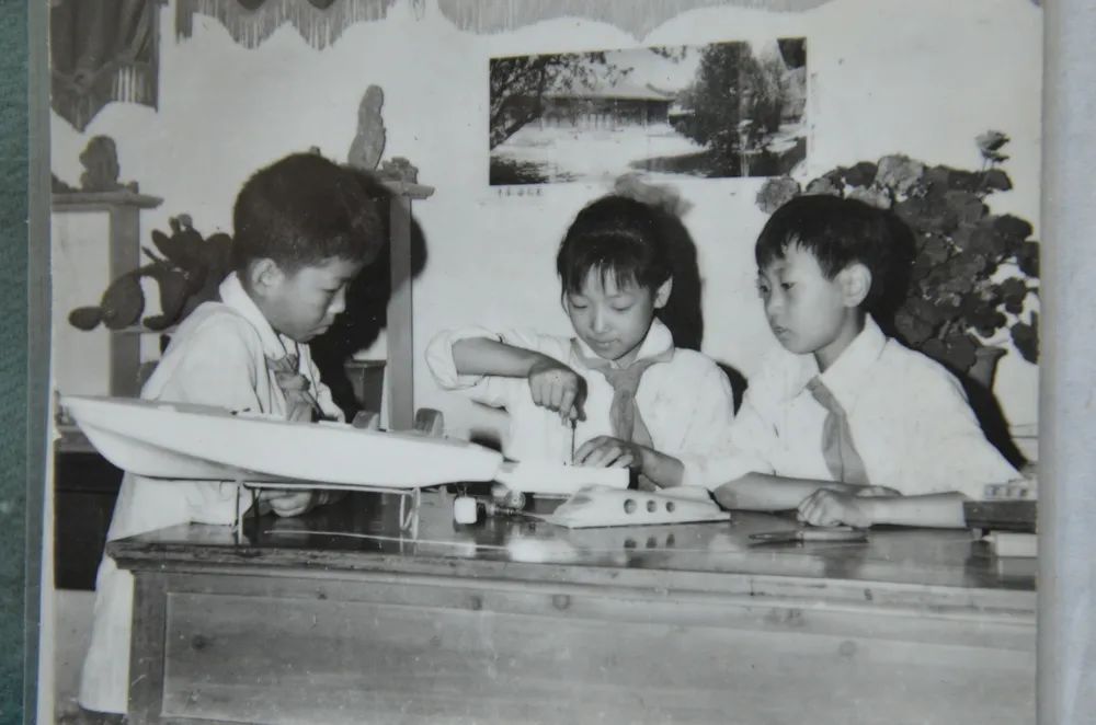 临安最好的小学是哪个,临安小学入学要求