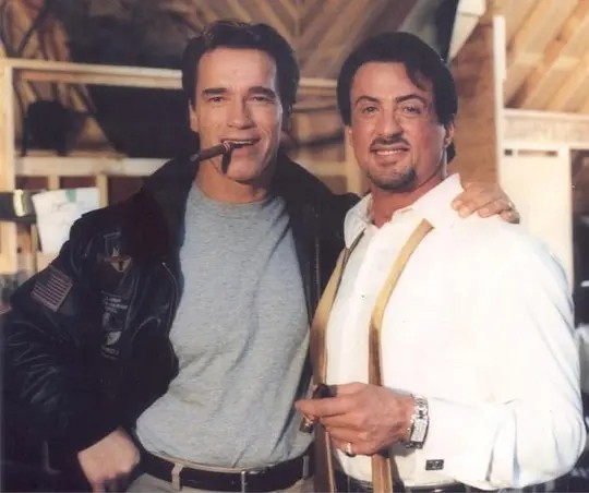 施瓦辛格illbeback,阿诺德施瓦辛格高清海报