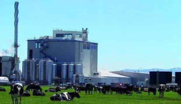 正本清源1992,正本清源1984