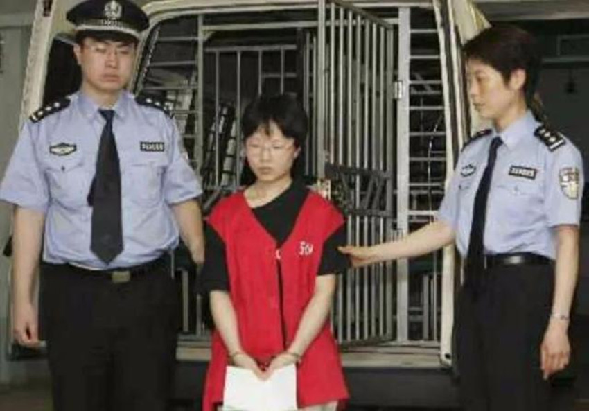 陈丹蕾美国,陈丹蕾个人简介