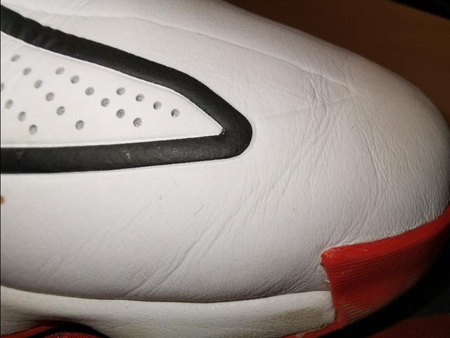 罗斯玫瑰战靴,玫瑰十年