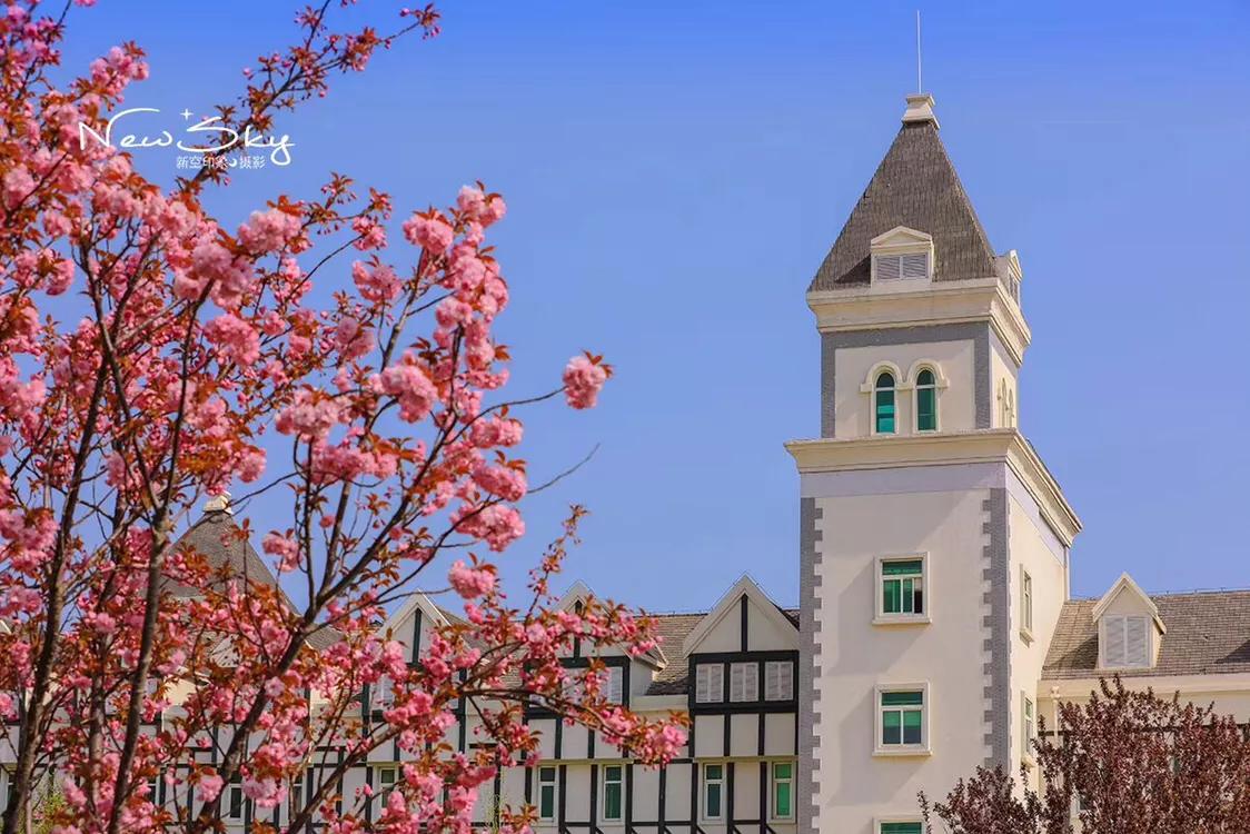 烟台张裕酒庄参观推荐,烟台打卡网红景点月亮湾