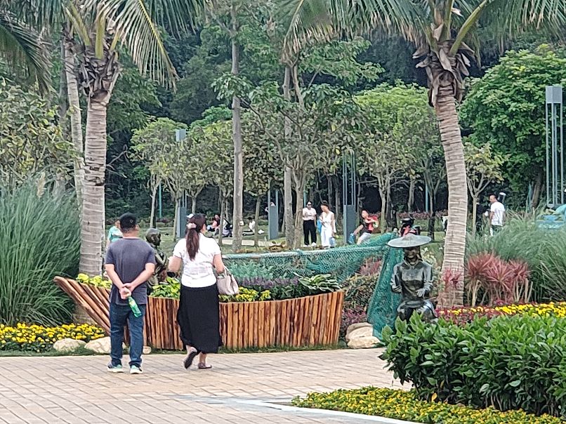 珠海野狸岛到港珠澳,珠海野狸岛的山可以爬吗