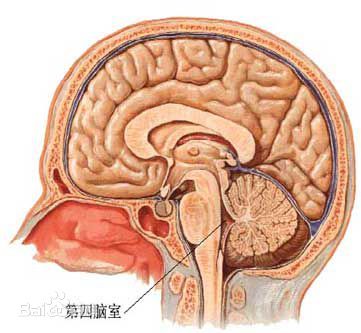 头晕脑胀失眠多梦吃什么药调理,头晕失眠的最佳治疗方法