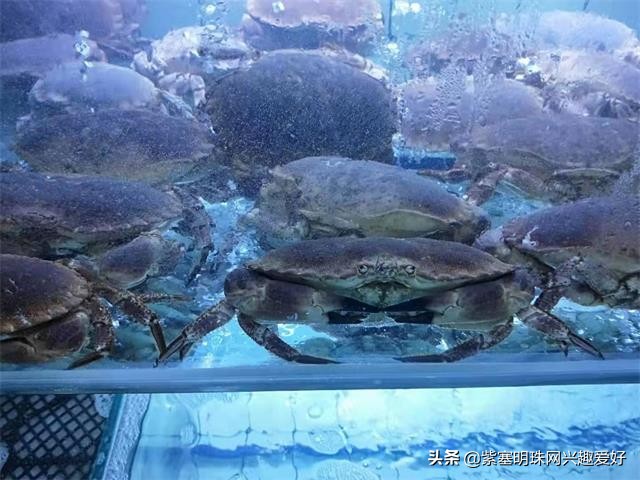 换一个角度享受生活乐趣,日照吴家台渔家乐推荐