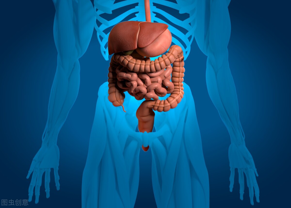 饭后拉肚子是肠癌的前兆,吃完饭就拉肚子是肠癌吗