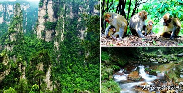 去张家界自助游/自驾游/自由行旅游包车/向导/行程私人定制