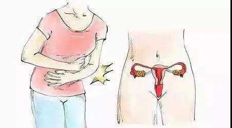 子宫后位怎么快速怀孕,子宫后位的人是不是不太容易怀孕