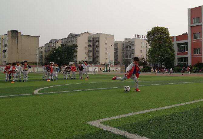 泸州方洞小学课后服务,向阳小学课后服务