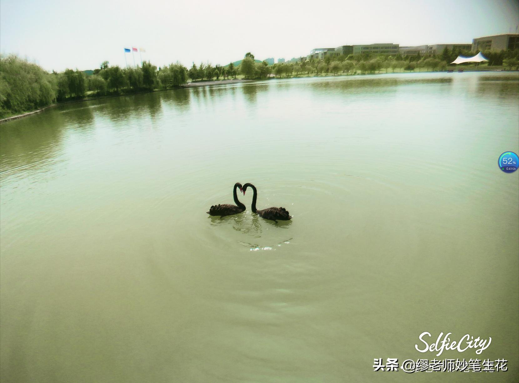 河海大学、中国矿业大学，两所大学分别有什么特点，该怎么选择？