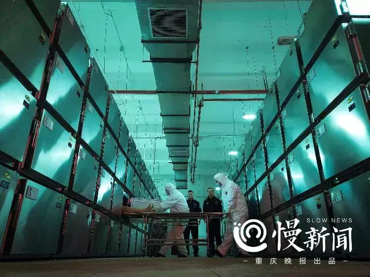 10部好看的法医悬疑电影,2022年度10部好看的法医悬疑电视剧