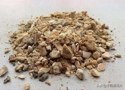 养花日常推荐植物盆栽,盆栽植物室内大号