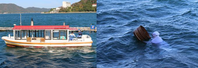 日本正宗珍珠,去日本哪里买akoya珍珠项链