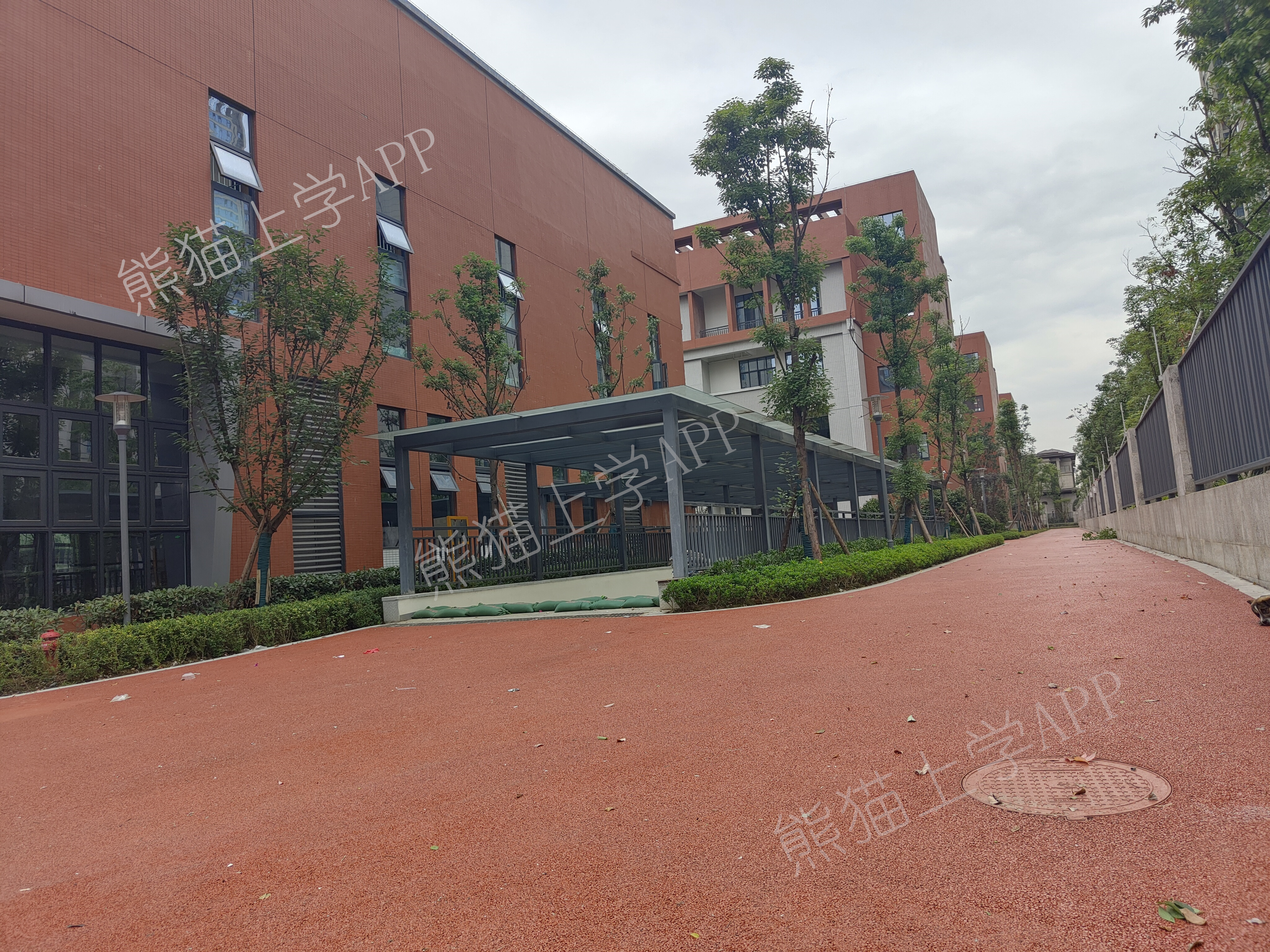 成华小学蜀都校区排名,成华小学蜀都分校是私立吗