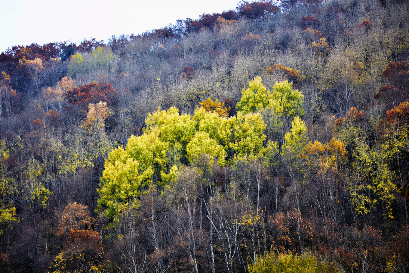 北京喇叭沟门,北京喇嘛沟门游玩