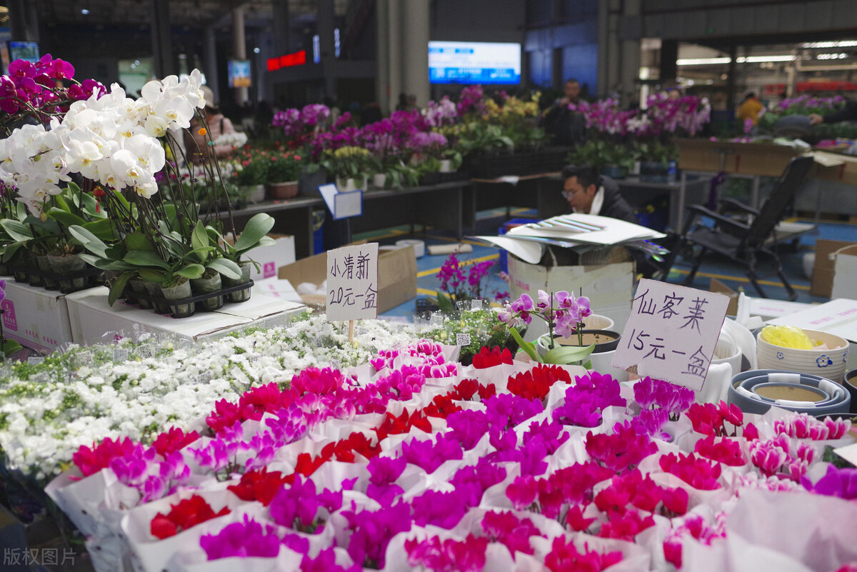 昆明市内游玩好去处 (云南昆明最值得玩的地方)