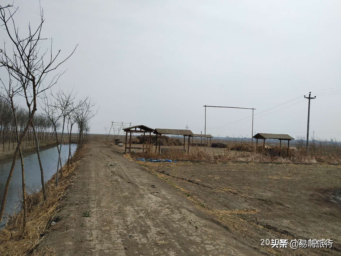 易嗨旅行带您天津宁河-芦台板桥休闲踏春游