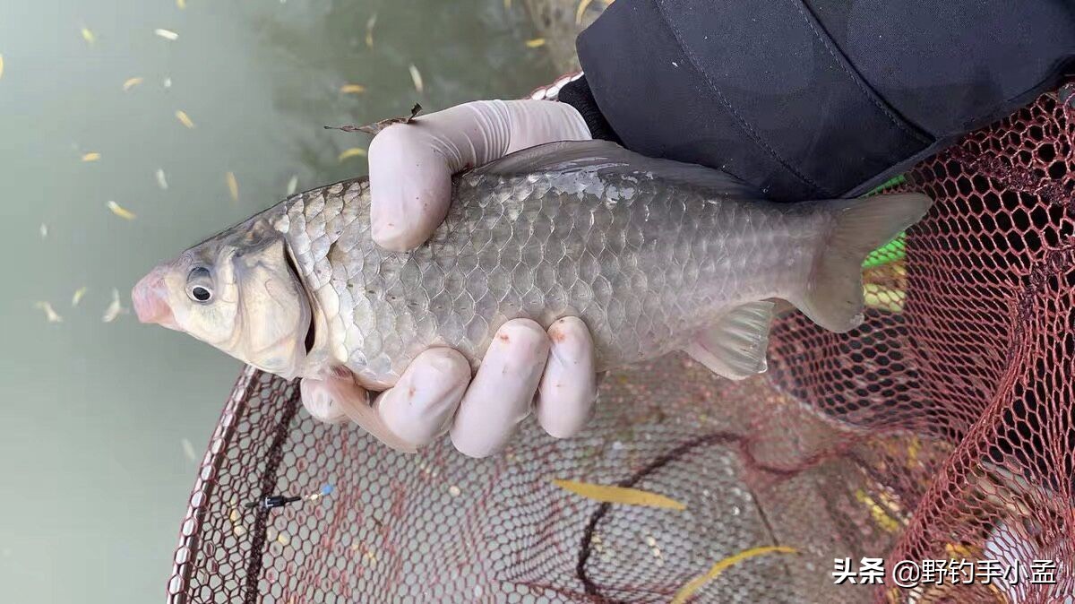 渔具套装组合推荐,钓鱼套装组合渔具全套推荐