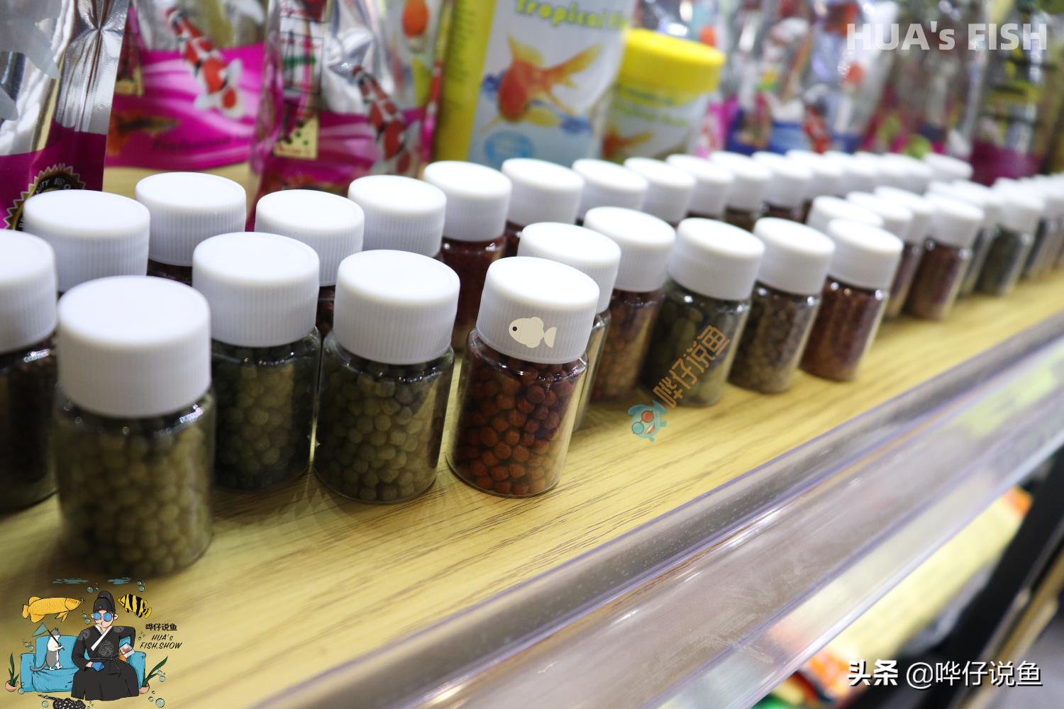 如何选择有营养的鱼粮,观赏鱼粮怎么选