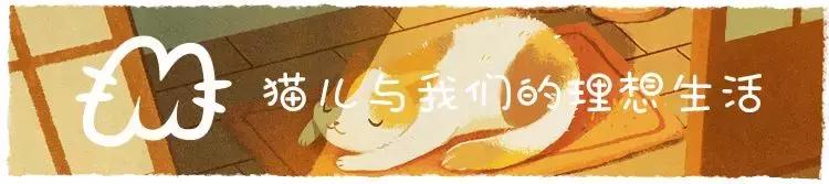 猫猫被猫抓伤了怎么办,猫猫被别的猫抓伤了怎么办