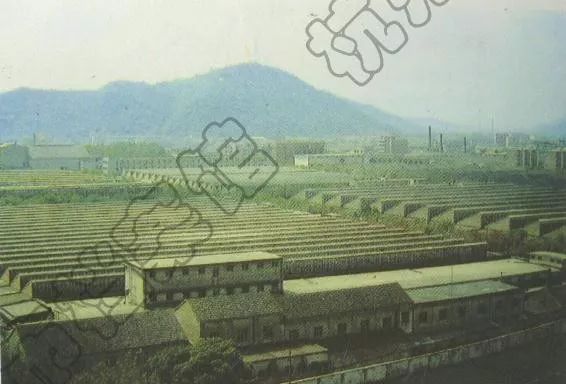 李坤军、叶建英、马锟、李永生丨东南西北，杭州楼市如何＂破茧＂