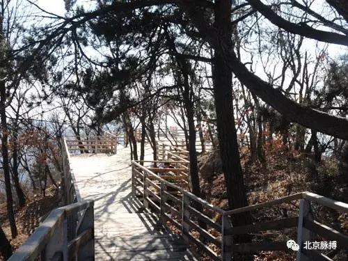 北京国家森林公园风景,画说北京故事