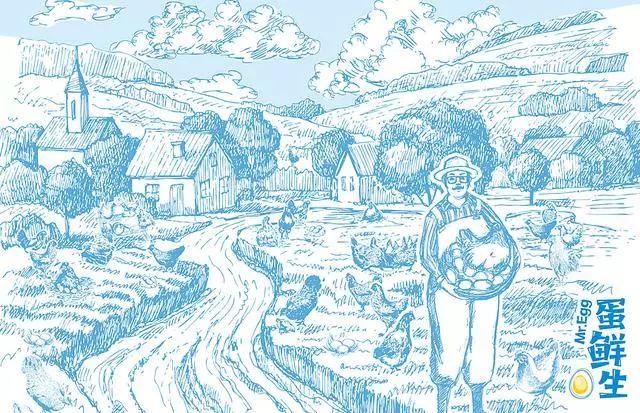 生态鸡蛋包装设计,鸡蛋创新包装