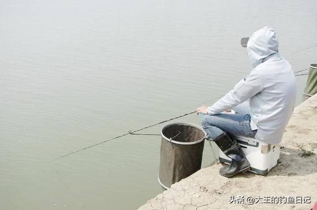 浆层对鱼饵料有影响吗,水底浆层影响钓鱼吗