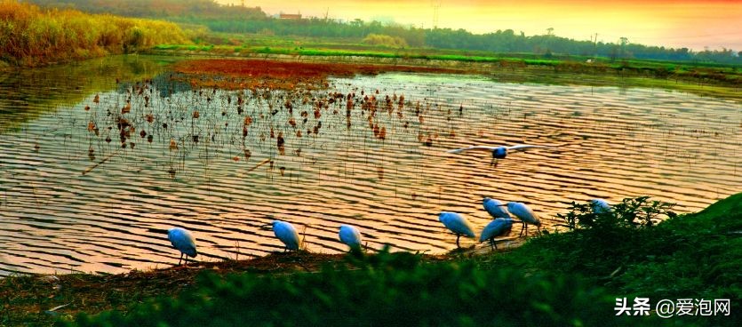 重庆贝迪颐温泉度假区旅游攻略,重庆贝迪颐园温泉接待