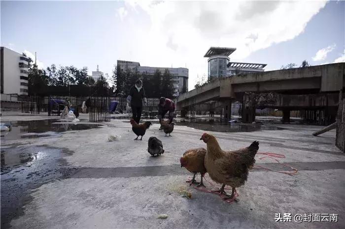 云南饭店原总经理私分国有资产,私分国有资产的董事长只判5年