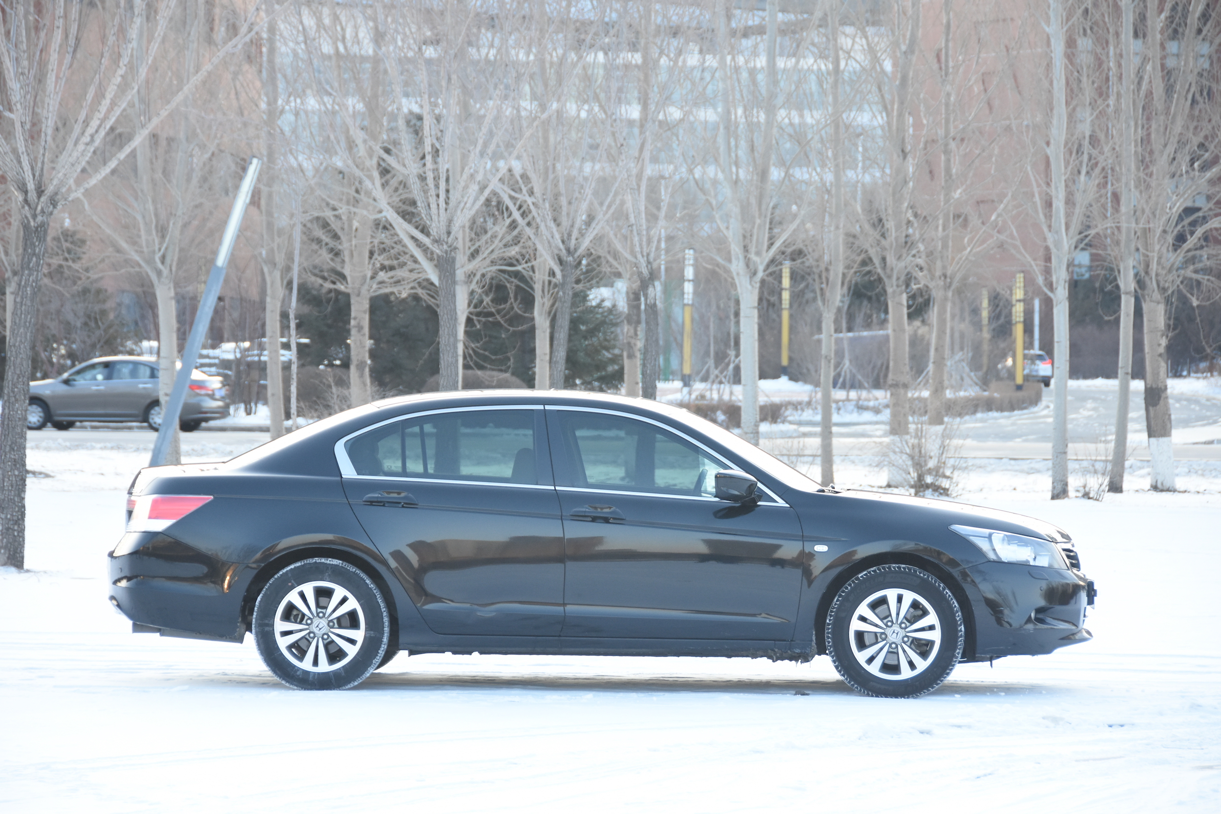 雅阁对不起,我不能爱你