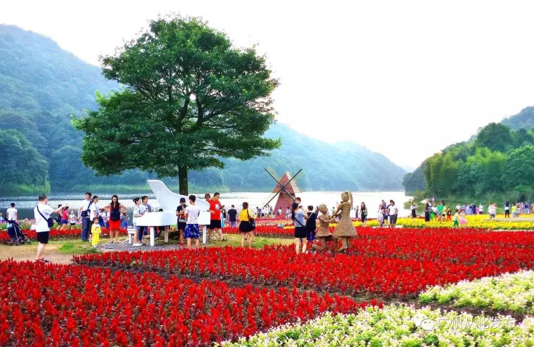 从化旅游攻略五天自由行,五一从化亲子游十大必去景点