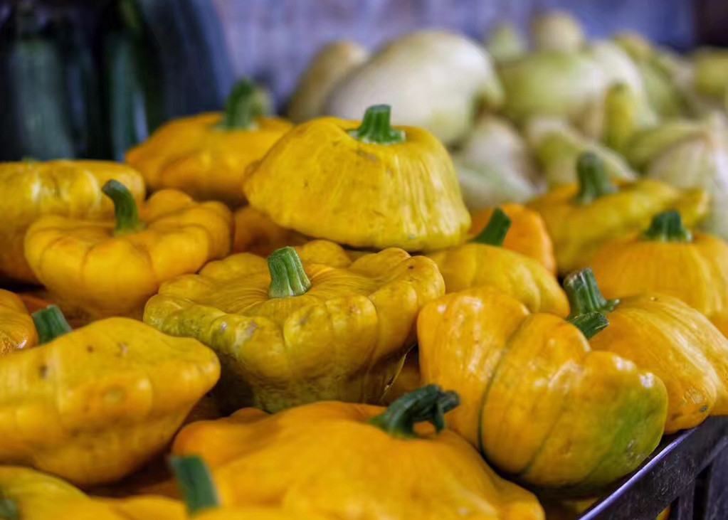 毛里求斯陈小春,毛里求斯马克吐温