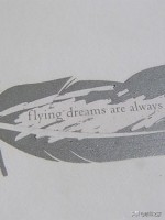 60种广告图文店印刷工艺,60平米图文广告店设计