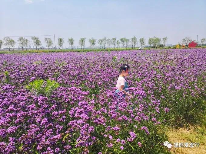齐河附近带孩子自驾游景点,周边亲子游齐河
