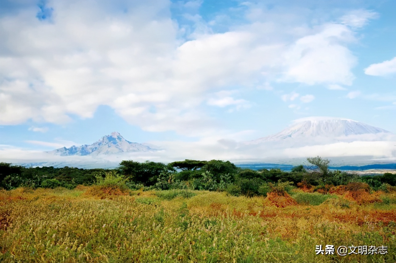 幽秘的长耳精灵——狞猫
