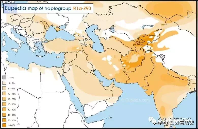 父系R1a人群系列——包括中国的楼兰人